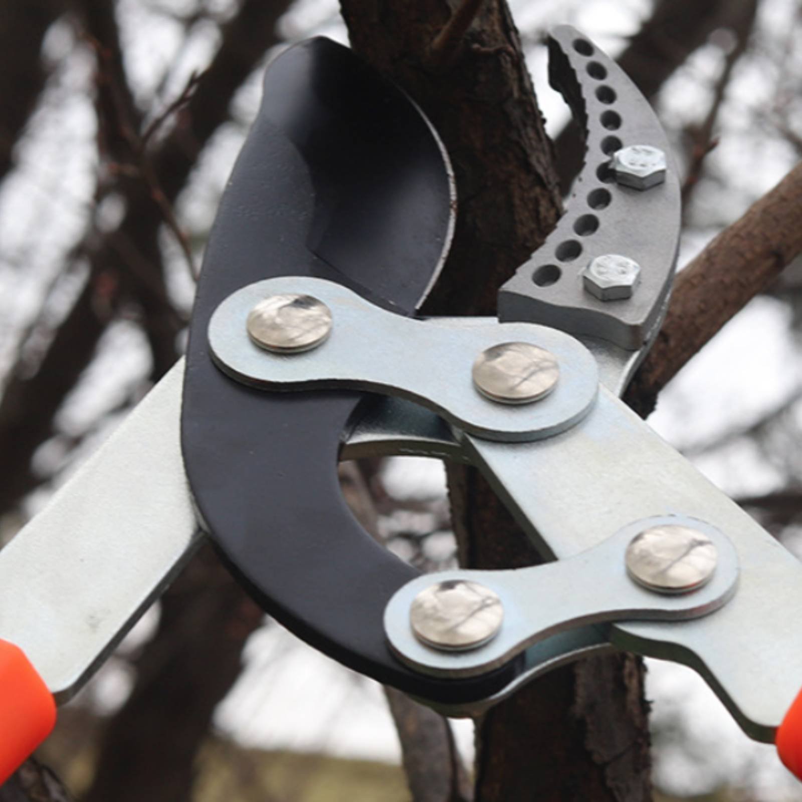 Gardening Tools Of - Telescopic Branch Pruners Sharp Blade Sturdy