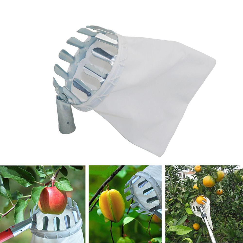 Garden Pruning Fruit Picker Ga - Gardening Tools Long 评论和价格