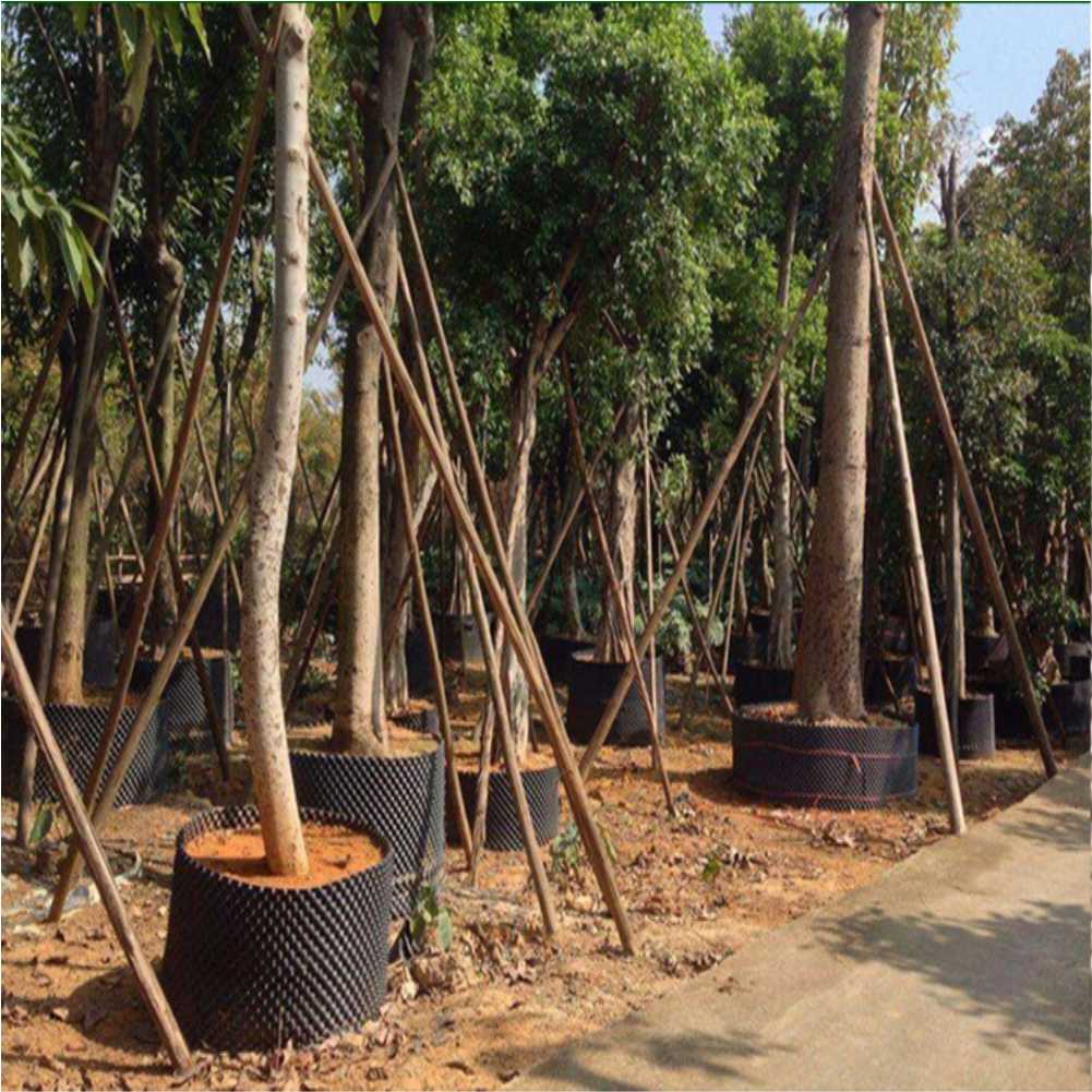 Grow Container Garden Tree Bon - Gardening Tools Of 评论和价格