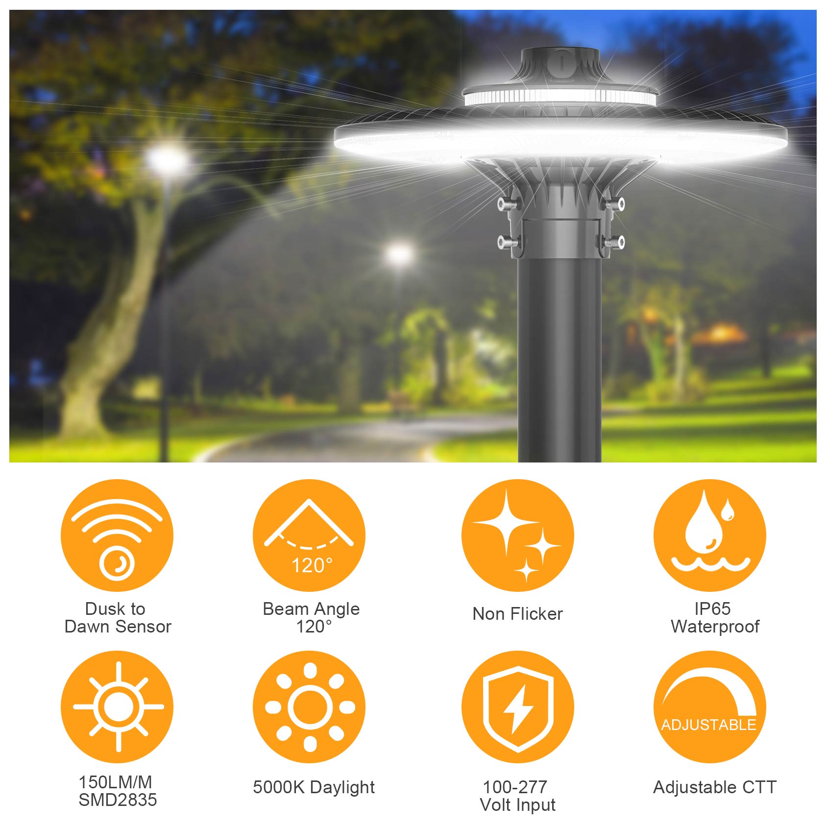 LED POST TOP Fixture ETL CE UL - Gardening Tools List 评论和价格