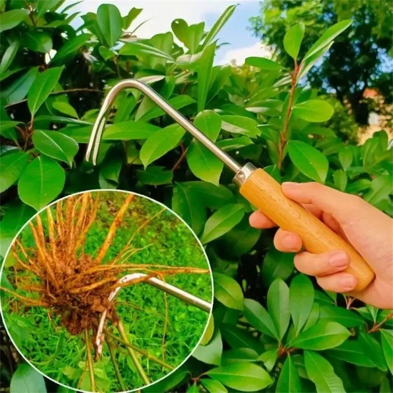 Stainless Steel Gardening Weed - Gardening Tools To Remove Weeds 评论和价格