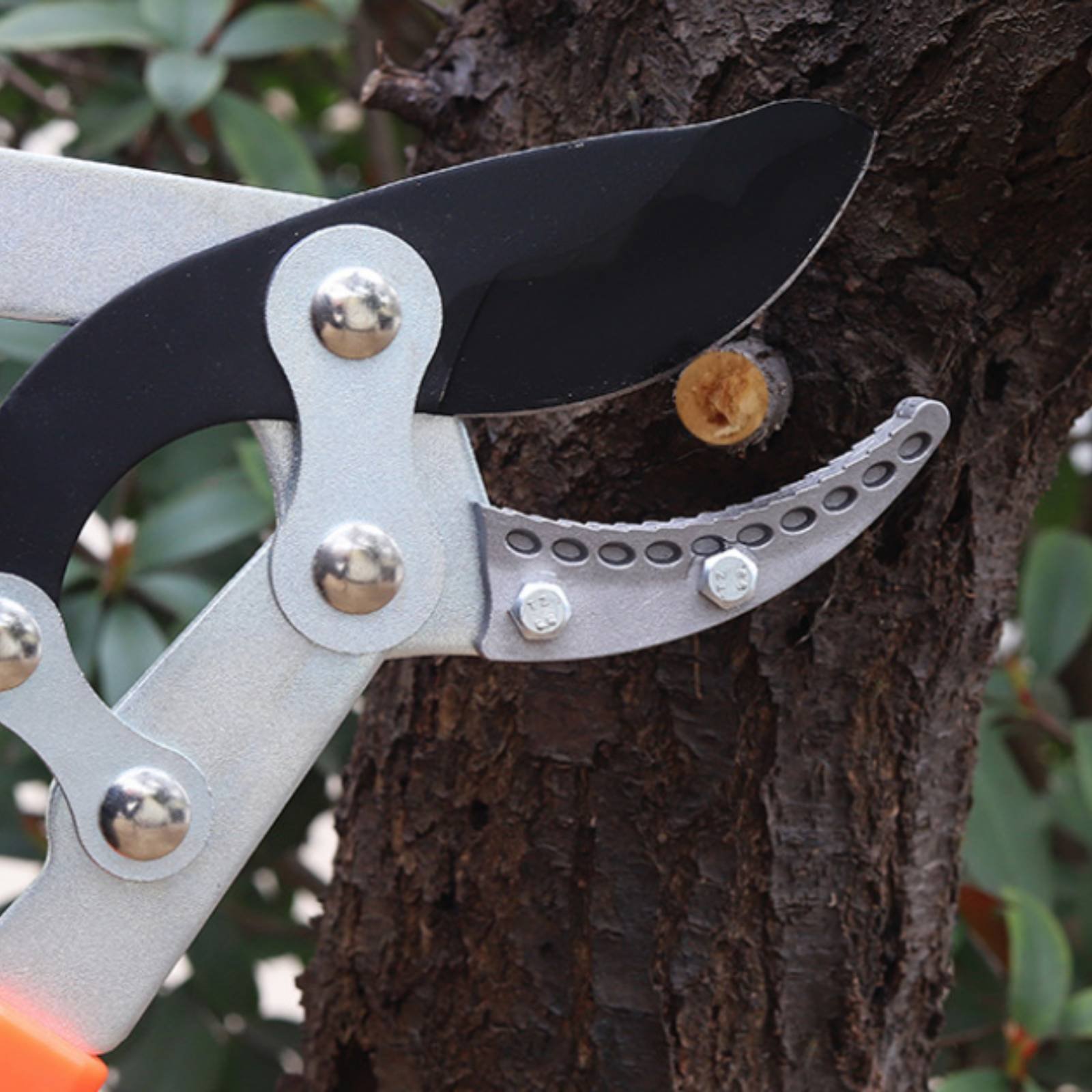 Telescopic Branch Pruners Shar - Gardening Tools Of 评论和价格