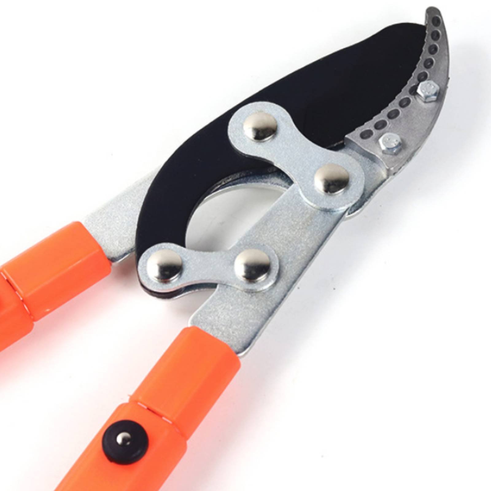 Telescopic Branch Pruners Shar - Gardening Tools Of 评论和价格