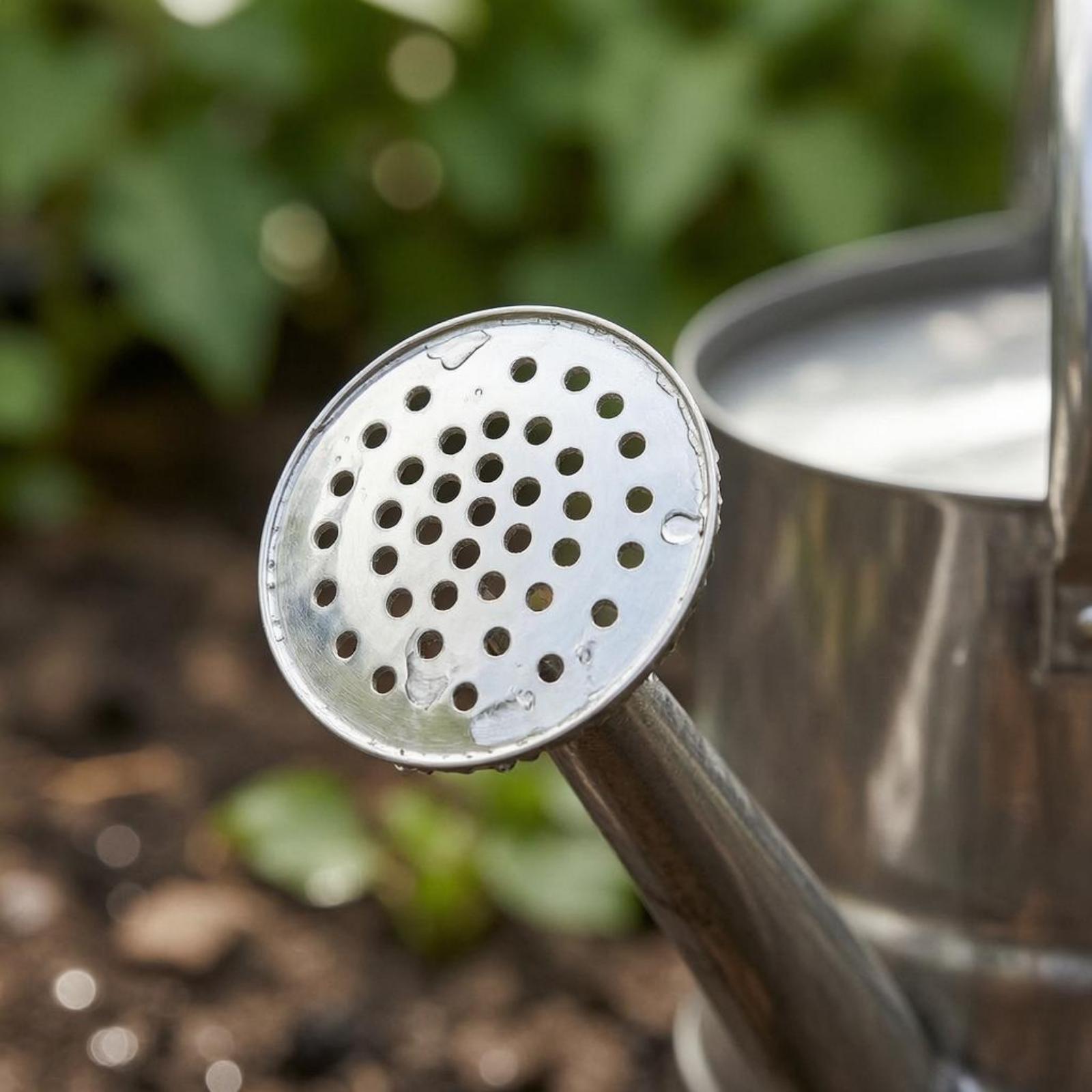 Garden Flower Watering Can Sta - Gardening Tools Long 评论和价格