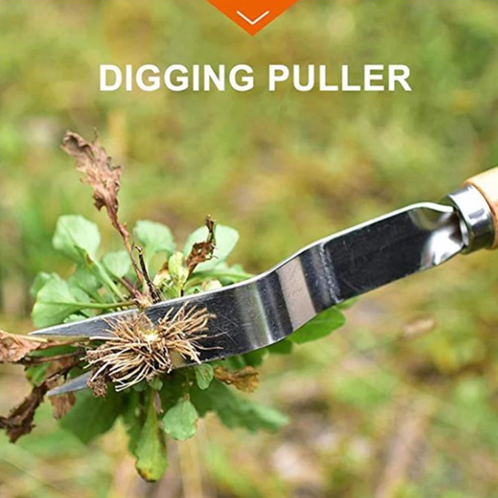 1pcs Wood Handle Stainless Ste - Gardening Tools To Remove Weeds 评论和价格