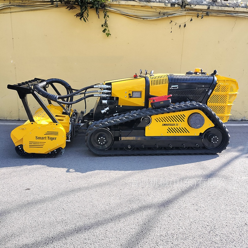 Intelligent Remote Control Cra - Gardening Tools To Remove Weeds 评论和价格